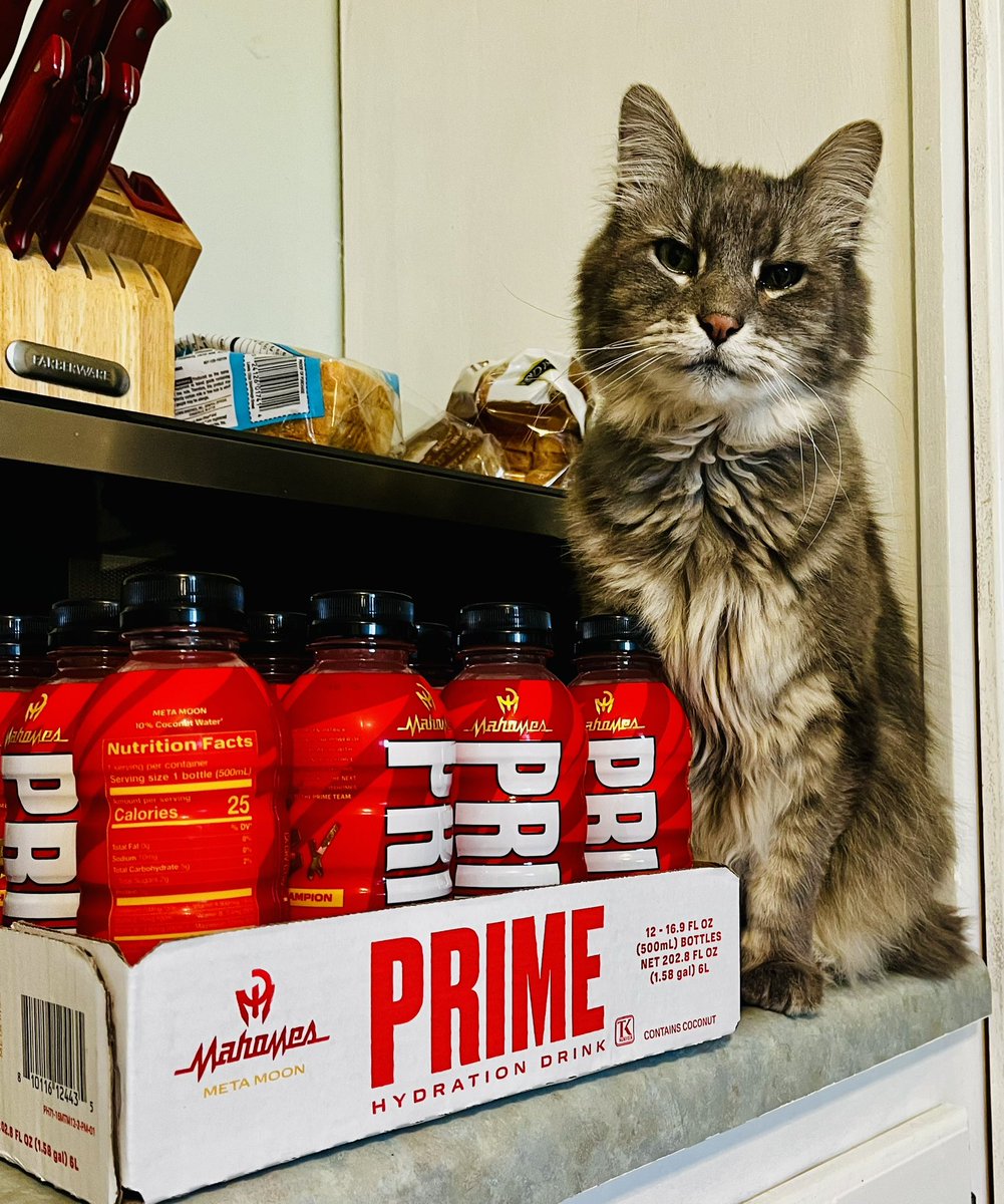 Catrick Mahomes (aka…WiFi) #ChiefsKingdom