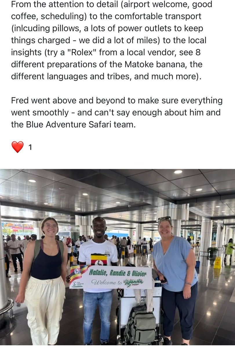 Blue Adventure Safari tweet media