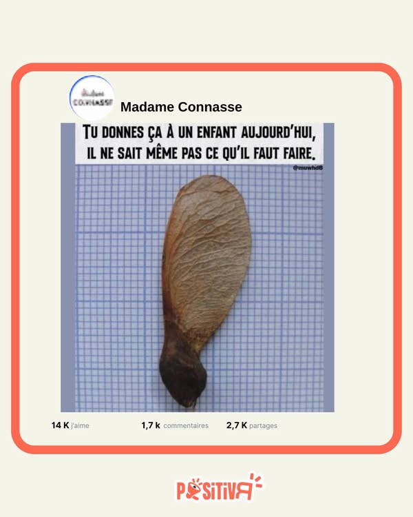 POSITIVR tweet media