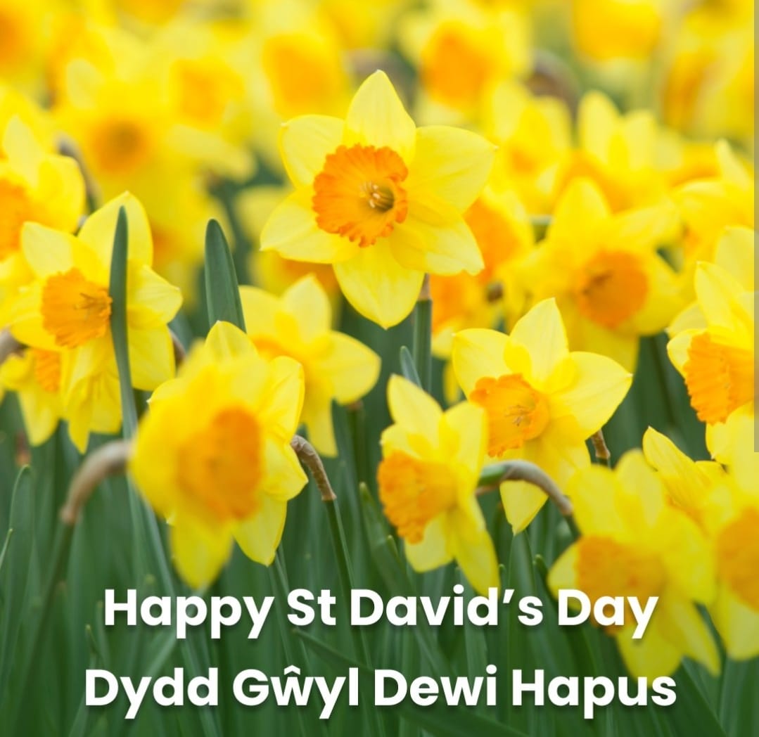 Cant_sixthform's tweet image. Happy St David's Day from @Cant_sixthform @cantonianhs Staff and Students 馃彺鬆仹鬆仮鬆伔鬆伂鬆伋鬆伩