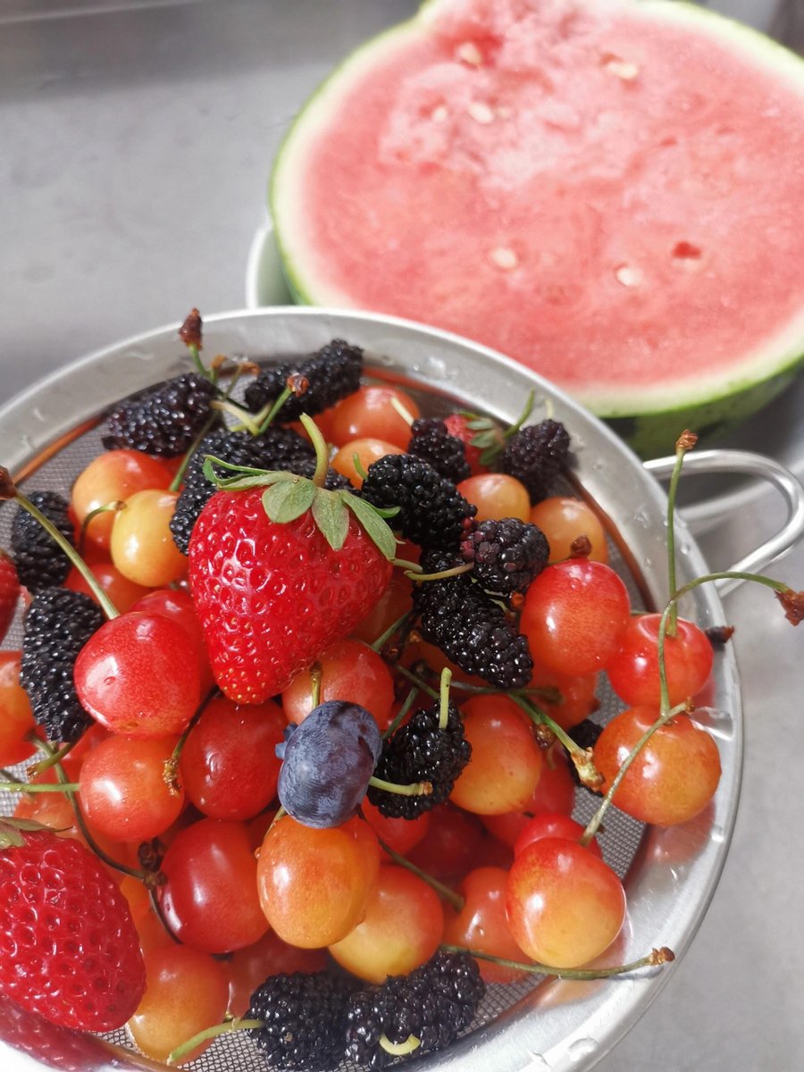 チェリー、自然の小さなエネルギーパック！抗酸化剤とビタミンが豊富で、忙しい生活の中でも簡単に健康と美しさを保てるよ。