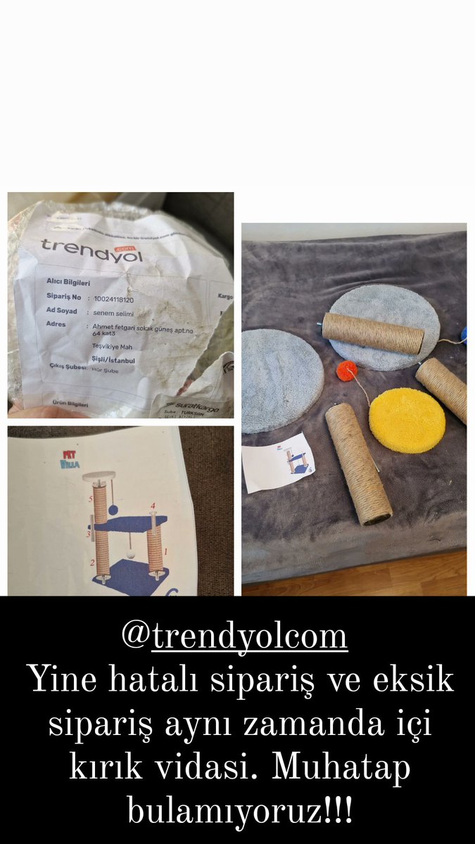 Senem Selimi tweet media