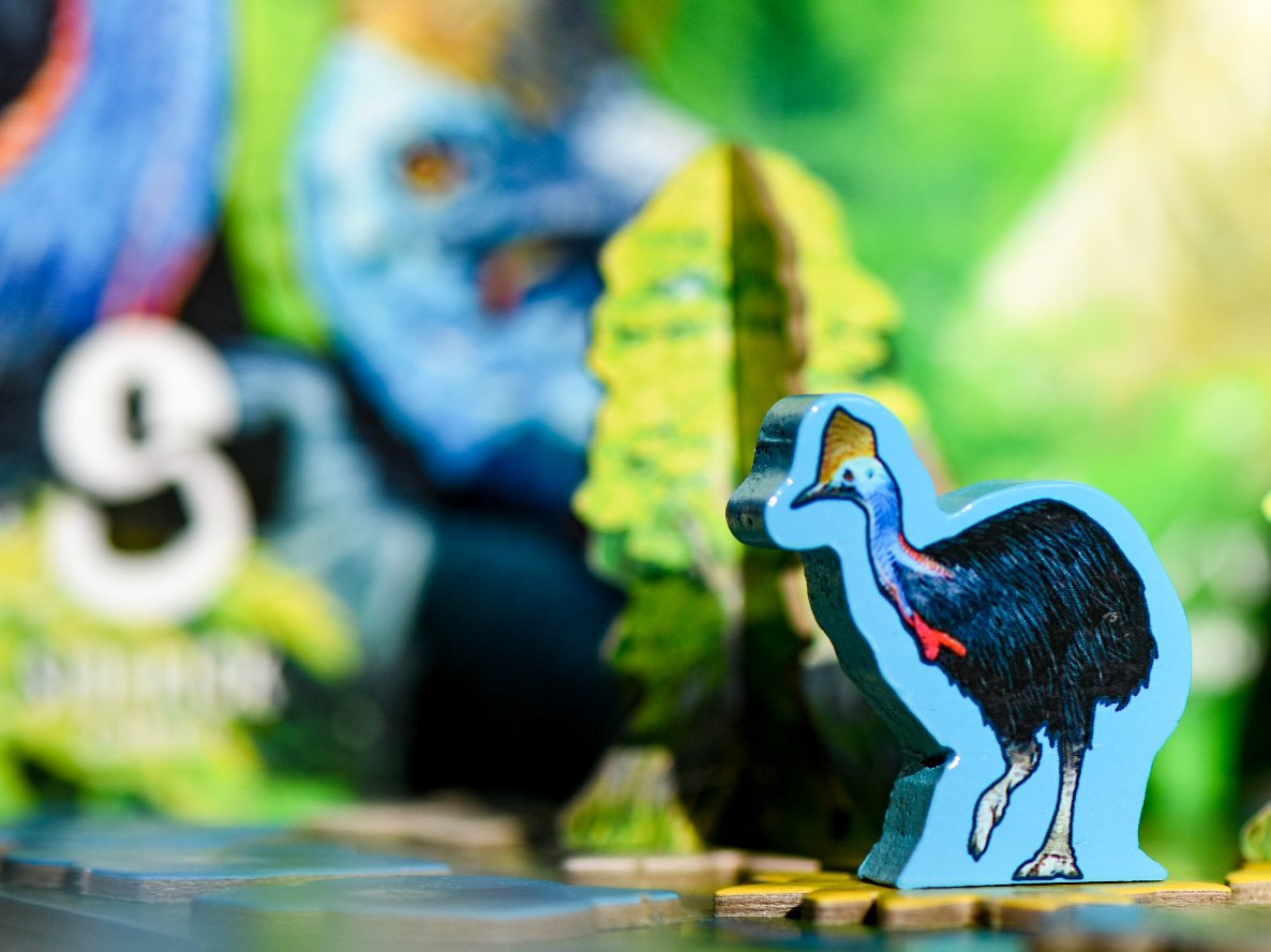 🌳🏵️🦜 Hutan - découverte matinale avec les jeunots, envie d'en refaire une partie dès le repas terminé : fluide malgré le côté casse-tête pour essayer d'optimiser les placements des 🌸💠🌺 #jeux #hutan #fij2025