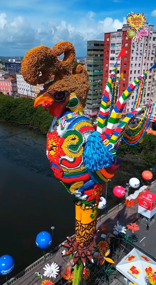 a maior tristeza do carnaval de pernambuco é quando não tem o galo feio.