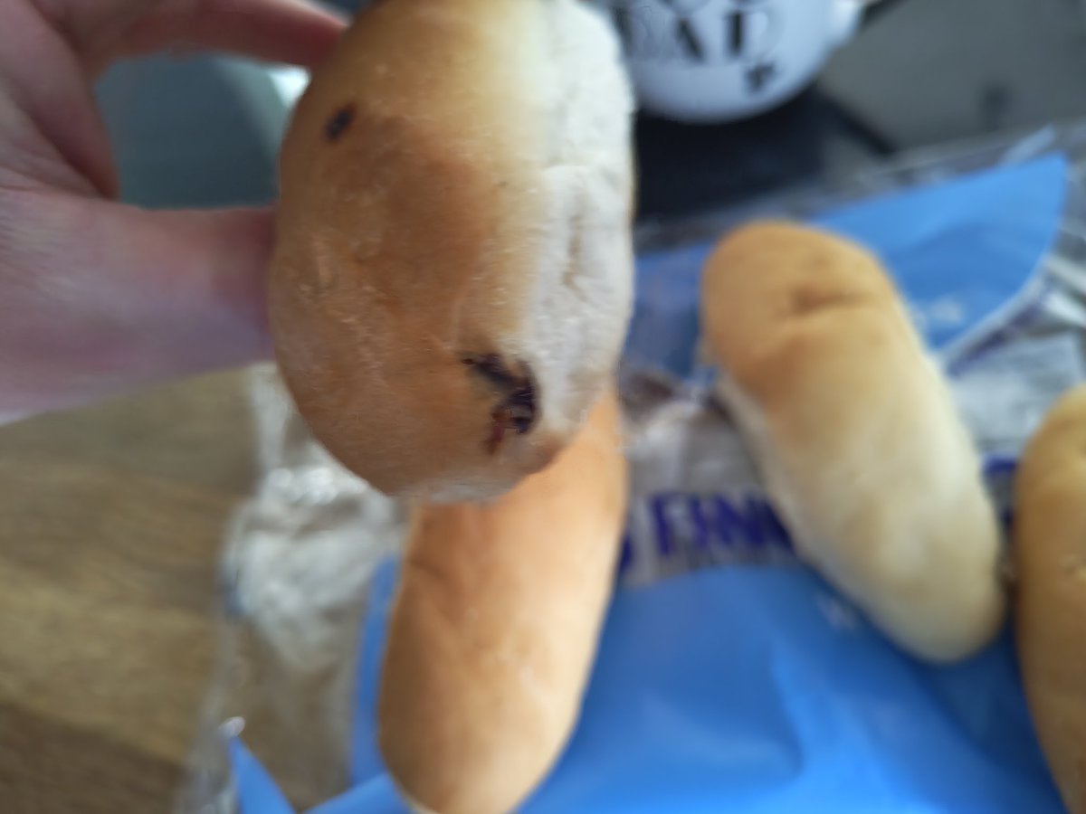 bhangraburns's tweet photo. @Morrisons any idea why my finger rolls I bought for hot dogs have raisens in? 👀 https://t.co/od6PRymzTZ