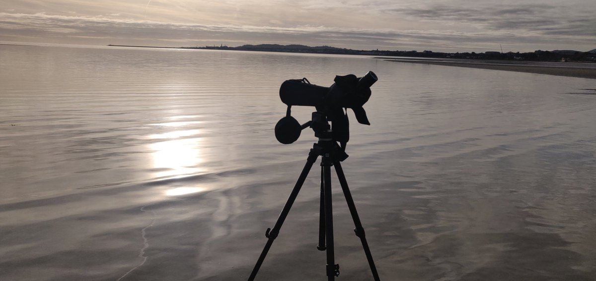 Fionn Ó Marcaigh (@scaladoir) on Twitter photo Fast tide this morning on Sandymount Strand for the <a href="/NPWSIreland/">National Parks and Wildlife Service</a> <a href="/BirdWatchIE/">BirdWatch Ireland</a> Irish Wetland Bird Survey, the last of the season. The oystercatchers and dunlin almost seemed to be caught out by the speed of the tide, hopping and running in as it came up! Fast tide this morning on Sandymount Strand for the <a href="/NPWSIreland/">National Parks and Wildlife Service</a> <a href="/BirdWatchIE/">BirdWatch Ireland</a> Irish Wetland Bird Survey, the last of the season. The oystercatchers and dunlin almost seemed to be caught out by the speed of the tide, hopping and running in as it came up!