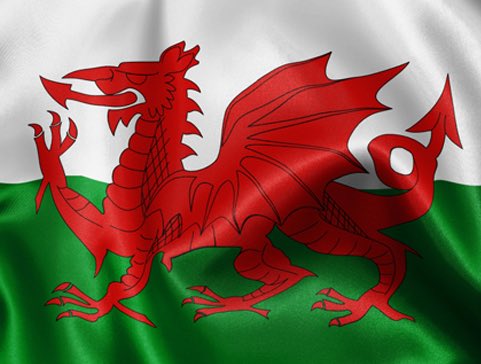 Dydd Gŵyl Dewi Hapus. Happy St David’s Day 🏴󠁧󠁢󠁷󠁬󠁳󠁿🇬🇧