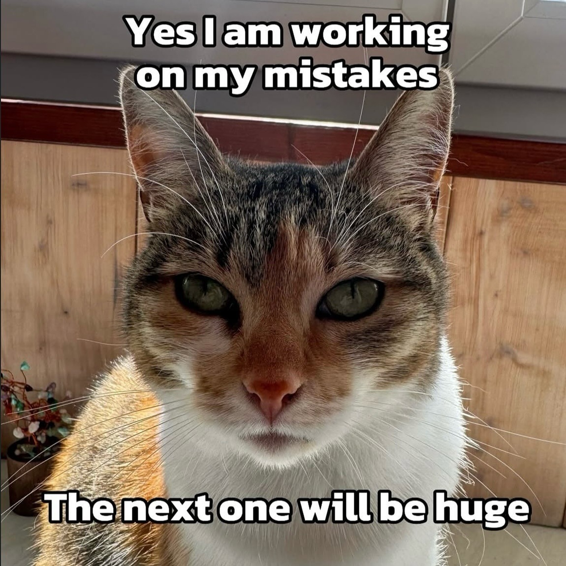 Lovandfear's tweet image. 