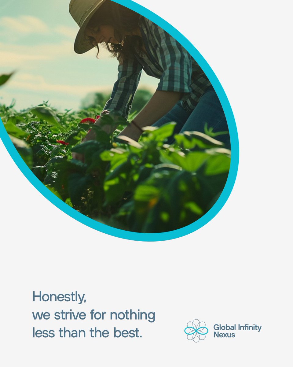 ginfinitynexus's tweet image. Delivering excellence is our standard. We strive for nothing less than the best for our clients! 📦✨ #CommitmentToQuality #GlobalTrade #globalinfinitynexus