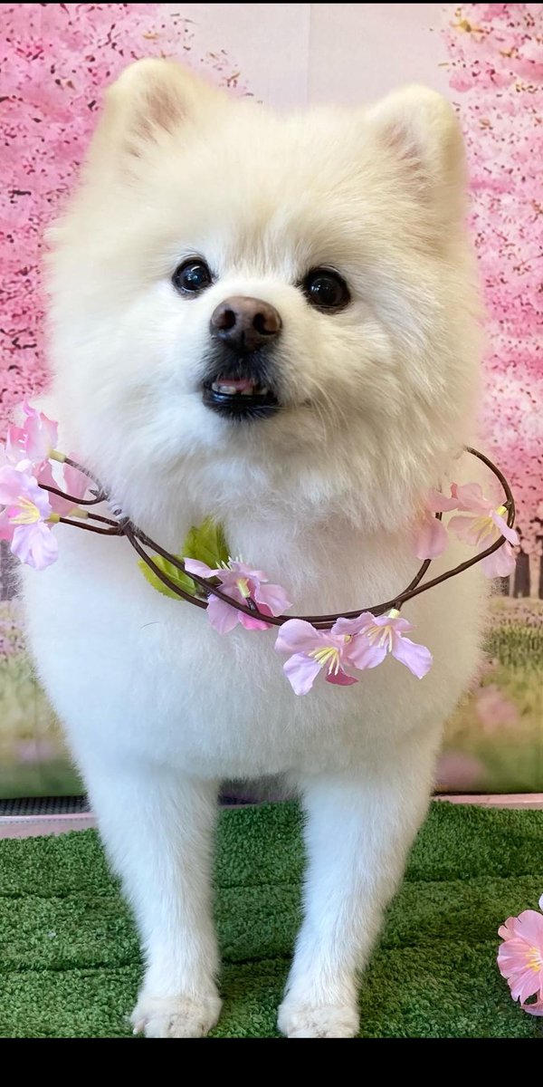 Jun Racing Factory tweet media