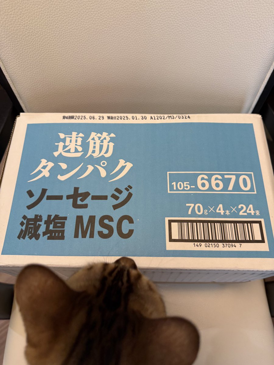 ebifireo's tweet photo. 届いた https://t.co/SJCoua6taA