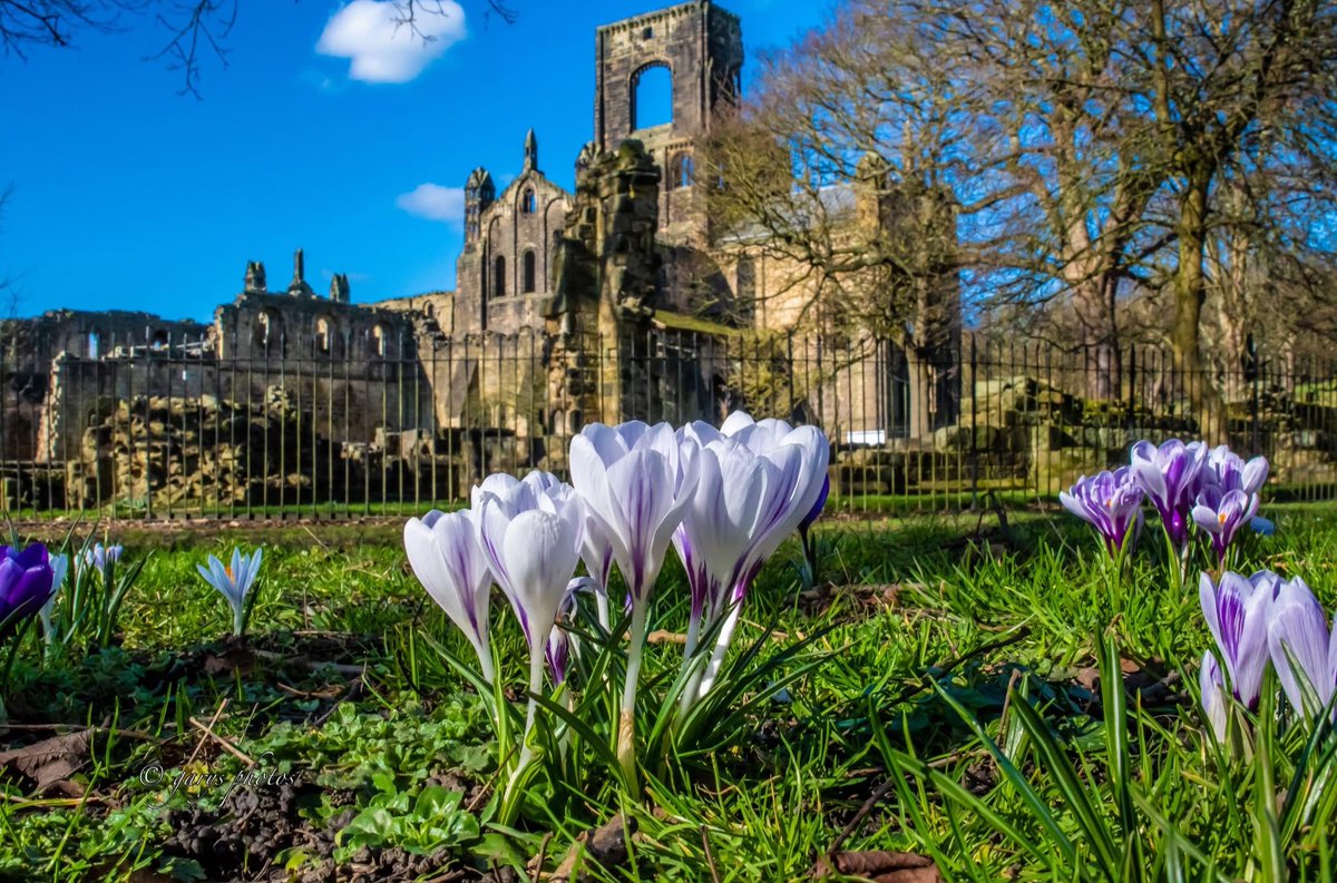 Happy first day of Spring / Primavera!