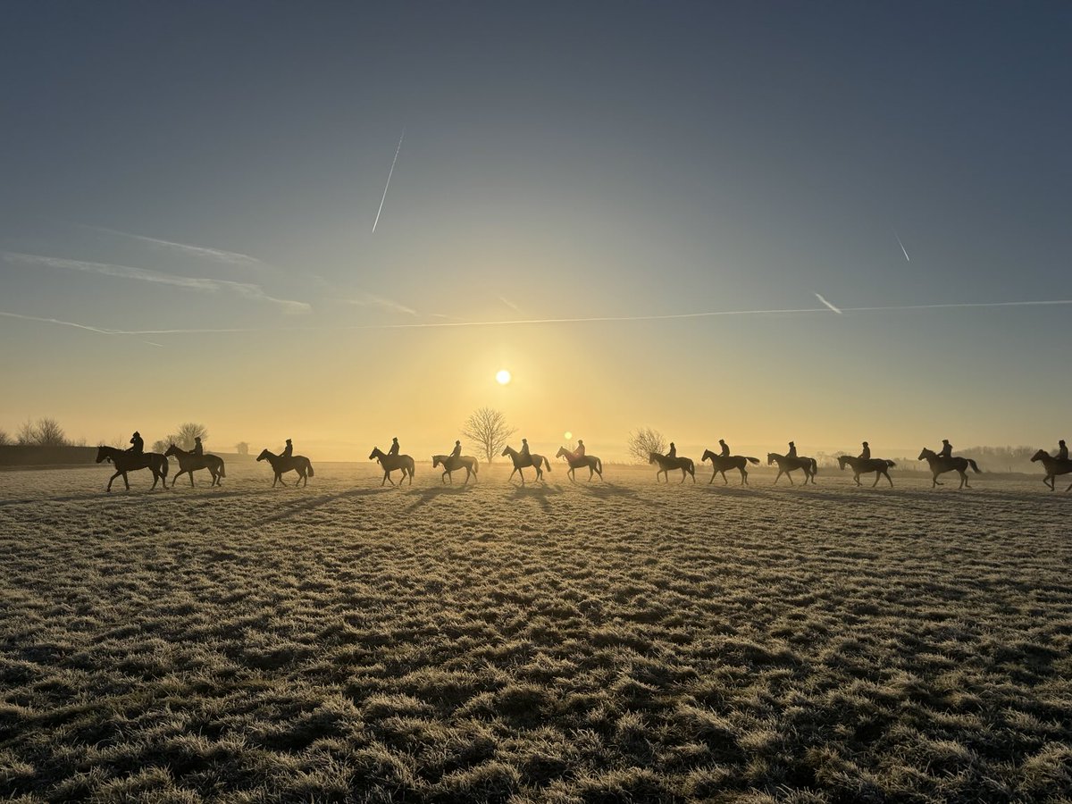 johnsonhoughton's tweet photo. First lot. Beautiful morning. #firstdayofspring #bringontheflat https://t.co/UO3AuEG0zN