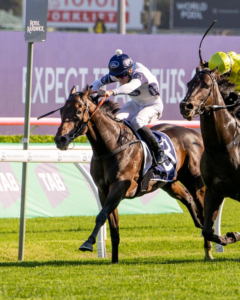 BBakerRacing's tweet photo. IOWNA MERC toughs it out to nail the G3 Liverpool City Cup. Big props to @JoshuaParr8 for getting every inch out of him.

A huge day for the @Darby_Racing/Bjorn Baker partnership - long may it continue! https://t.co/E4pNHSQki6