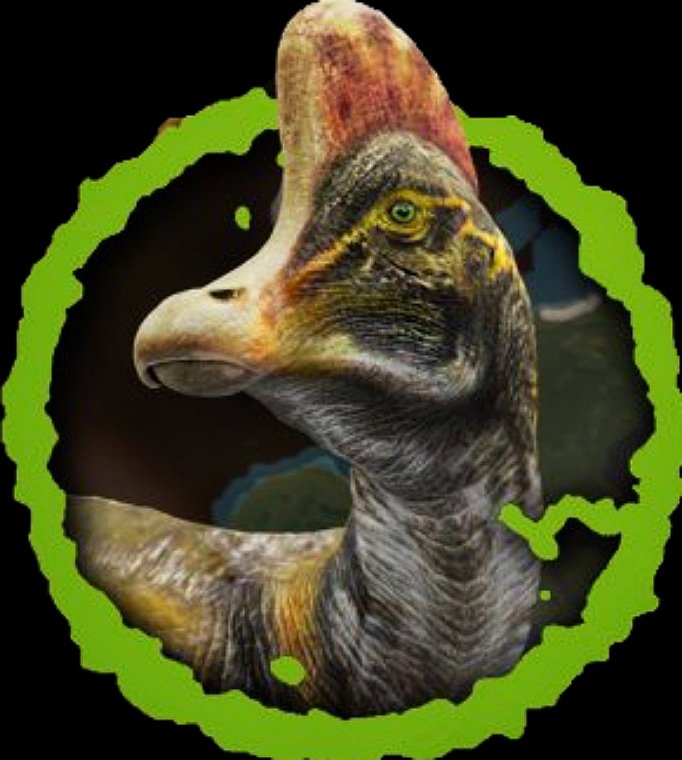 ☀️ Charly Rojas ☀️ tweet media