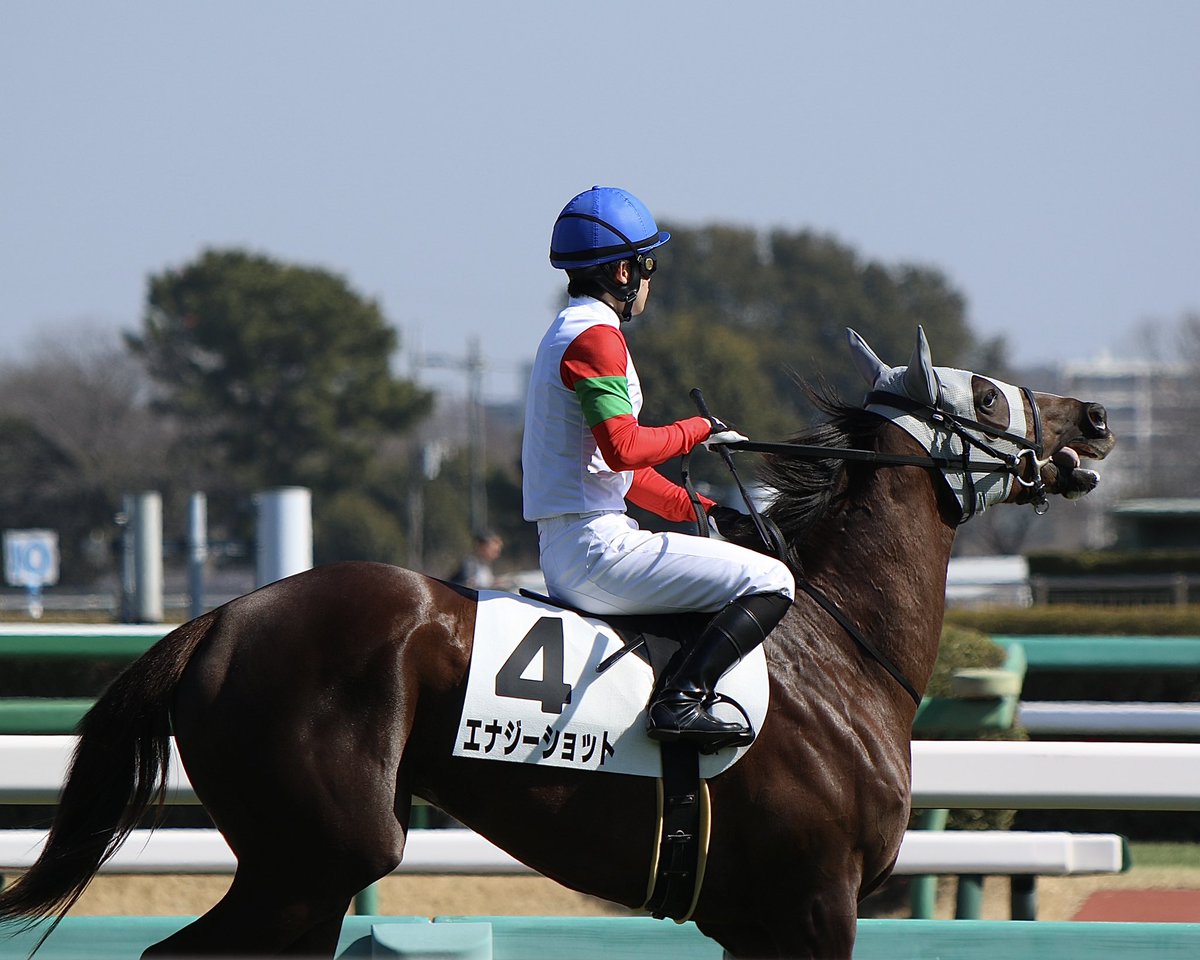 🐴ももちょ🐴 tweet media
