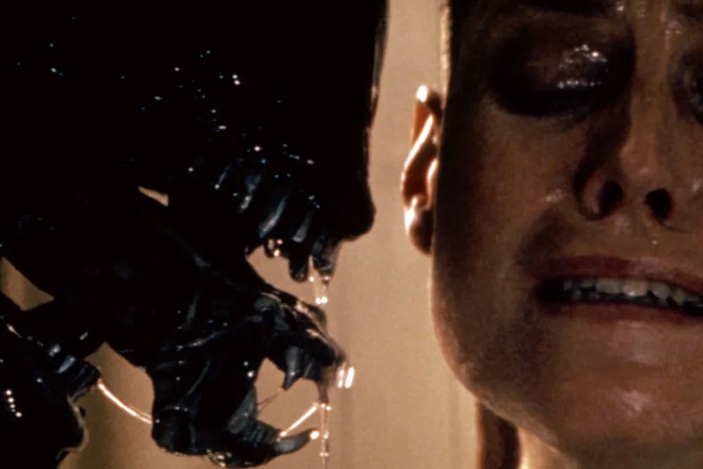 "Have you ever said thank you once, this entire meeting?"