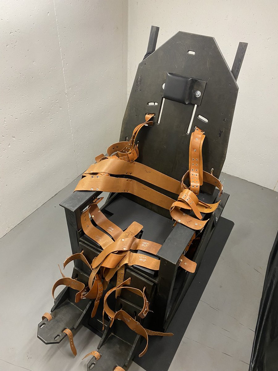 SeriouslyBound (@seriouslybound) on Twitter photo Take a seat. I promise this won’t hurt 🥳 Take a seat. I promise this won’t hurt 🥳