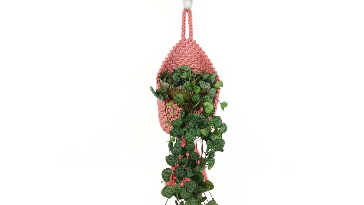 QuilletLaure's tweet photo. Ce panier a été conçu avec soin pour répondre à vos besoins tout en apportant une touche de couleur et de style à votre espace. 
https://t.co/0ePe7ZmqjZ

#macramé #macramelove #décorationmaison #styleboho #macramedecor #decorationinterieur #decoration #BohoChic #bohodecor #art https://t.co/ujEl14fw3o