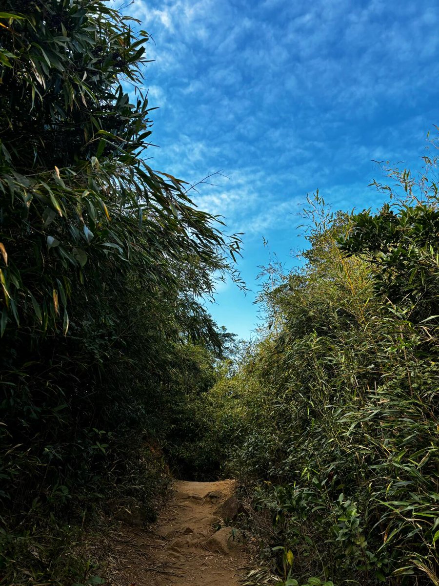 If you feel confused, go hiking, feel the beautiful world and relax.