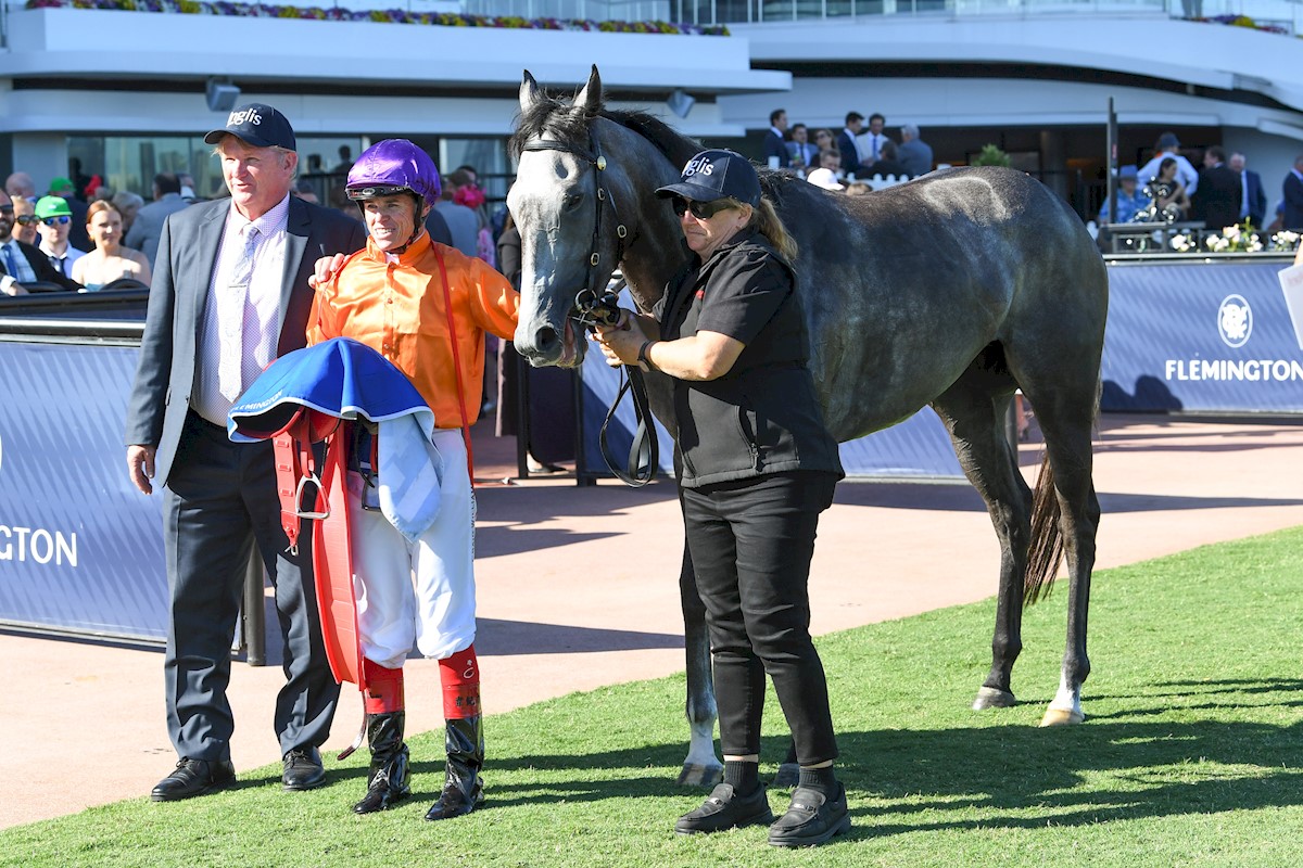 inglis_sales's tweet photo. What a result! EL MORZILLO (Star Witness) fights hard to win the $1m Inglis Sprint down the famous @FlemingtonVRC straight. The 3YO filly is a $50k #InglisClassic buy for her trainer Kelly Schweida from @widdenstud, who will offer her Dirty Work half sister as lot 50 at #InglisPremier tomorrow!
