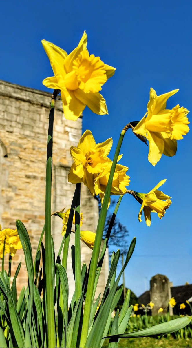 From this Yorkshire Jones to all my Welsh family.. Dydd Gŵyl Dewi Hapus' – 'Happy St David's Day'
Love you too all ✨