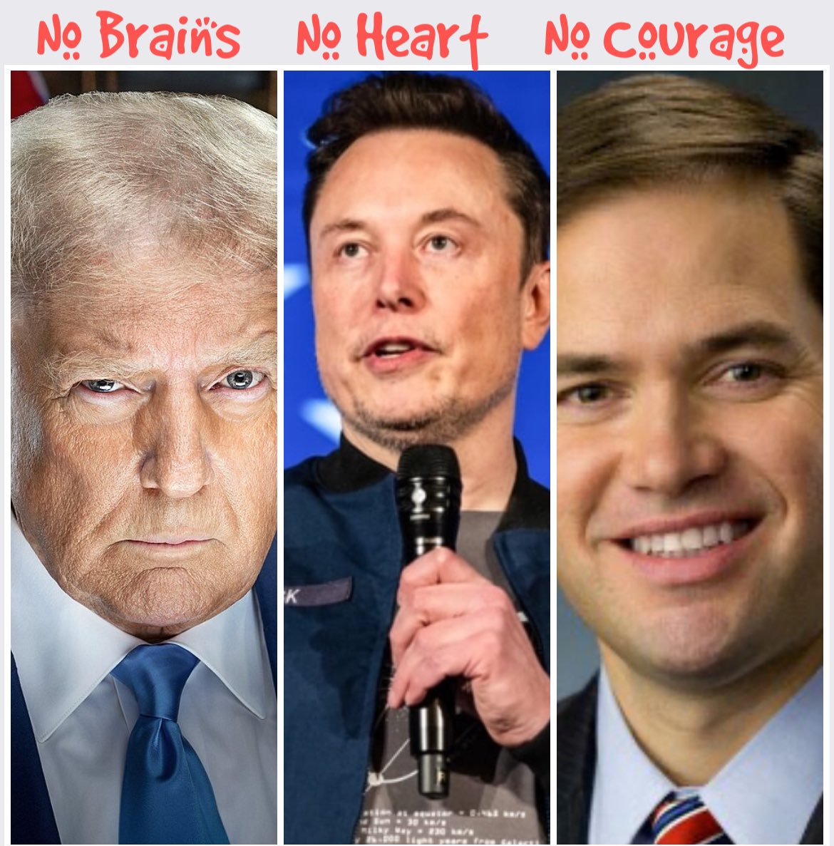 slumdogram's tweet photo. @elonmusk @realDonaldTrump https://t.co/b0pRxiJ1B9