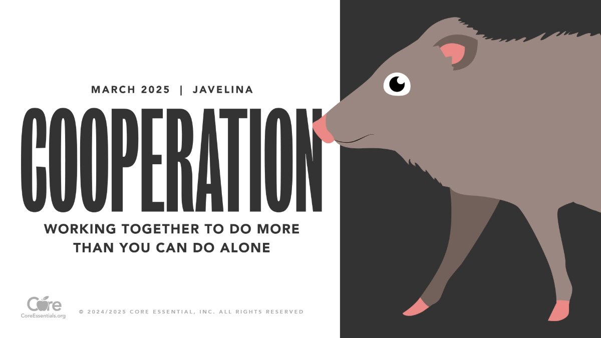 Our core value this month is #Cooperation. Learning to cooperate is like weaving a strong rope from many strands. Together, we can do far more than we could alone. By pooling our strengths and talents, we become a formidable force, capable of overcoming any obstacle in our path.