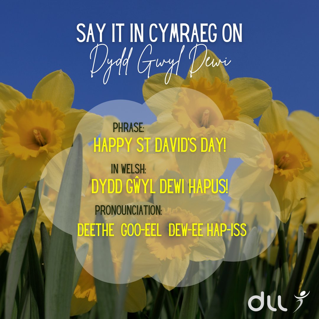 Hamdden Sir Ddinbych cyf / DLL tweet media