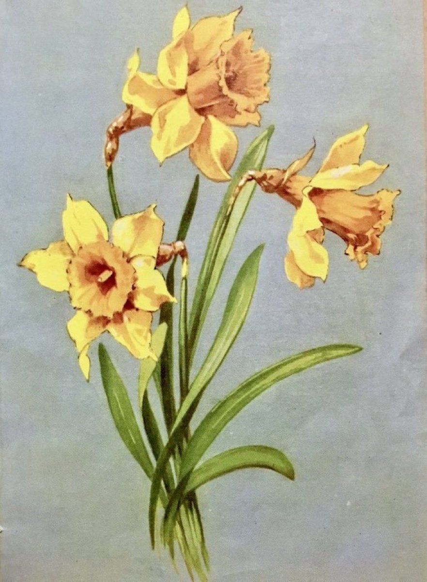 St David's Day
Dydd Gŵyl Dewi 

Artist: H Woolley (1954)