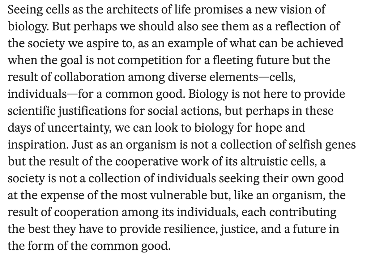 Let’s not lose hope that we can find our way to a better world. It might take time but we should realize that we aren’t the product of warring #SelfishGenes but the creation of #CooperativeCells english.elpais.com/science-tech/2…
