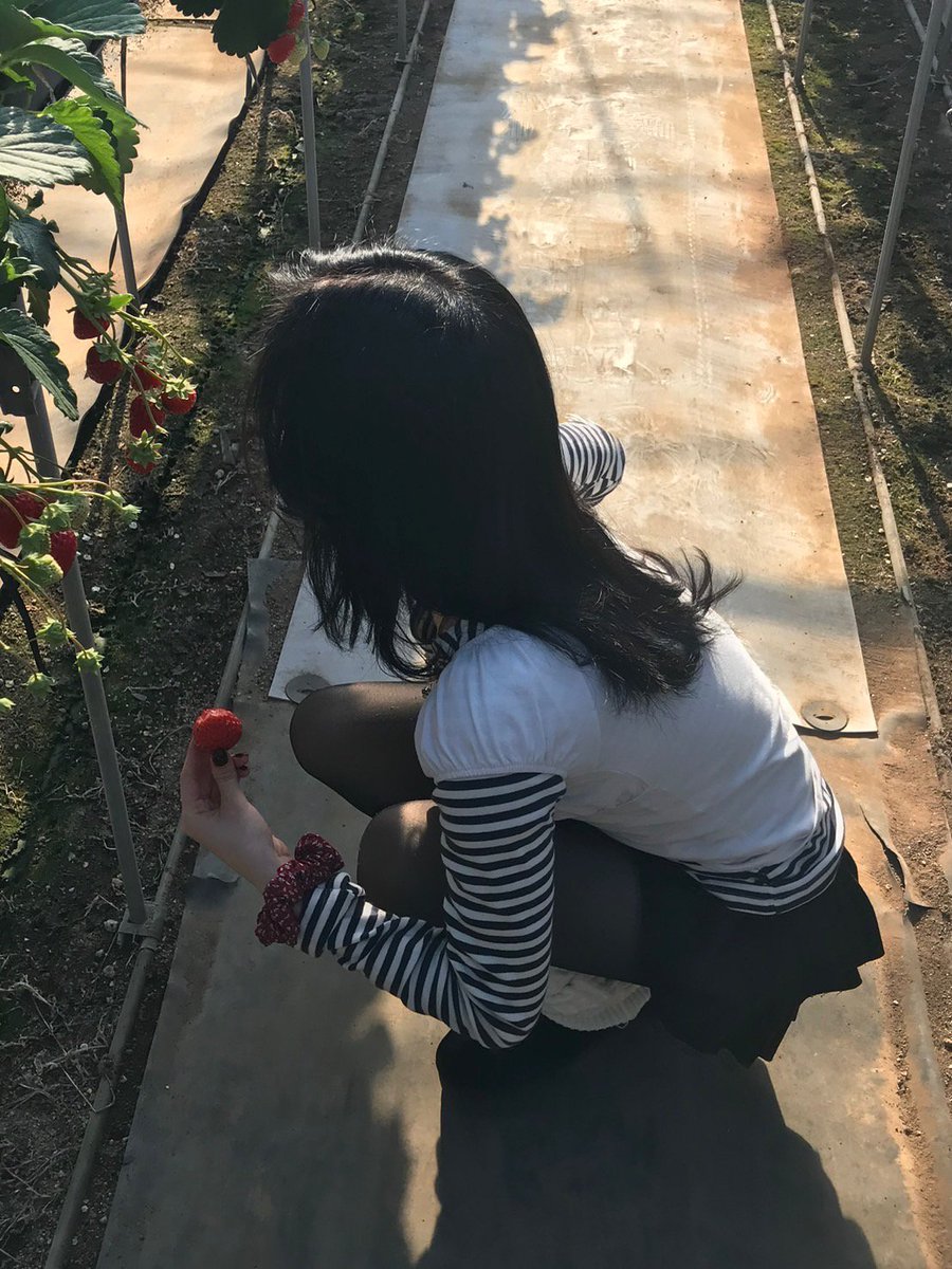 ningninug's tweet image. 딸기, 🍓  I step into my sunlit strawberry greenhouse, wearing a white striped top and a red scrunchie. Surrounded by lush green plants and the sweet scent of ripe fruit, I pluck a perfect red strawberry, savoring its juicy sweetness as the mountains peek through the windows.  🪴