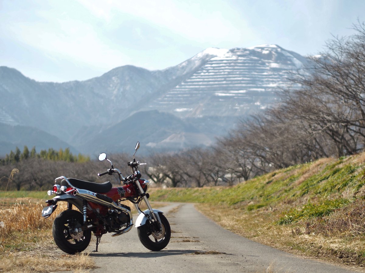 nk1193645622's tweet photo. 家に戻ってワンコに乗り換え♪
#ホンダダックス125
#ダックス125
#hondadax125
#dax125
#st125
#jb04 https://t.co/6tWa9YpC7b