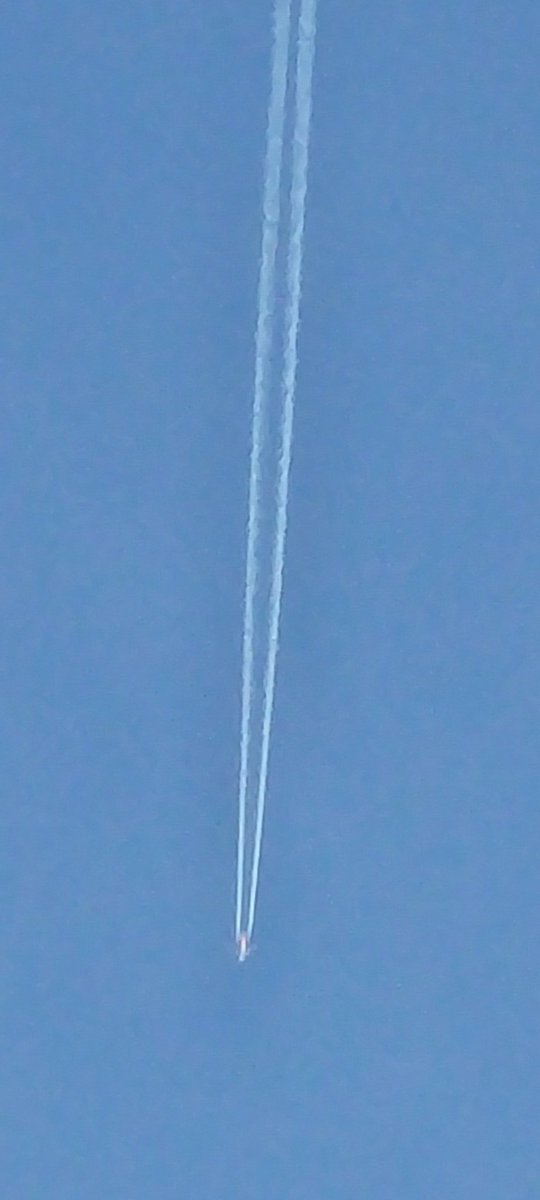 Saturday 8am UK.
Should be a beautiful day but the skybastards are up out early in force. Sky saturated. 
Forecast says it will cloud up by lunchtime. I wonder why that is? Maybe we should ask Easyjet why this jet is spraying a huge trail? <a href="/AskEasyJetUK_/">easy Jet.Customer.Service</a>  #chemtrails #toxicskies