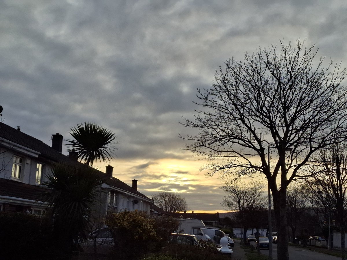 Suzie Guerin (@suzie_guerin) on Twitter photo Beautiful morning in Tallaght. Up early for the 20th Annual #psychcareers event today, organised by <a href="/PsychSocIreland/">Psychological Society of Ireland</a>, <a href="/NIBPS/">Northern Ireland BPS</a> and <a href="/PsychologyTCD/">Psychology TCD</a>. <a href="/UCDPsychology/">UCD Psychology</a> will be there too. Hope there's lots of questions😊 Beautiful morning in Tallaght. Up early for the 20th Annual #psychcareers event today, organised by <a href="/PsychSocIreland/">Psychological Society of Ireland</a>, <a href="/NIBPS/">Northern Ireland BPS</a> and <a href="/PsychologyTCD/">Psychology TCD</a>. <a href="/UCDPsychology/">UCD Psychology</a> will be there too. Hope there's lots of questions😊