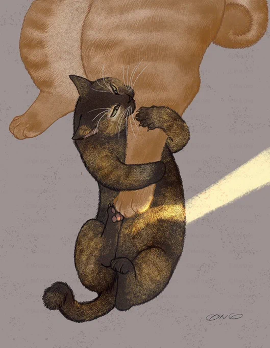  #サビ猫の日 