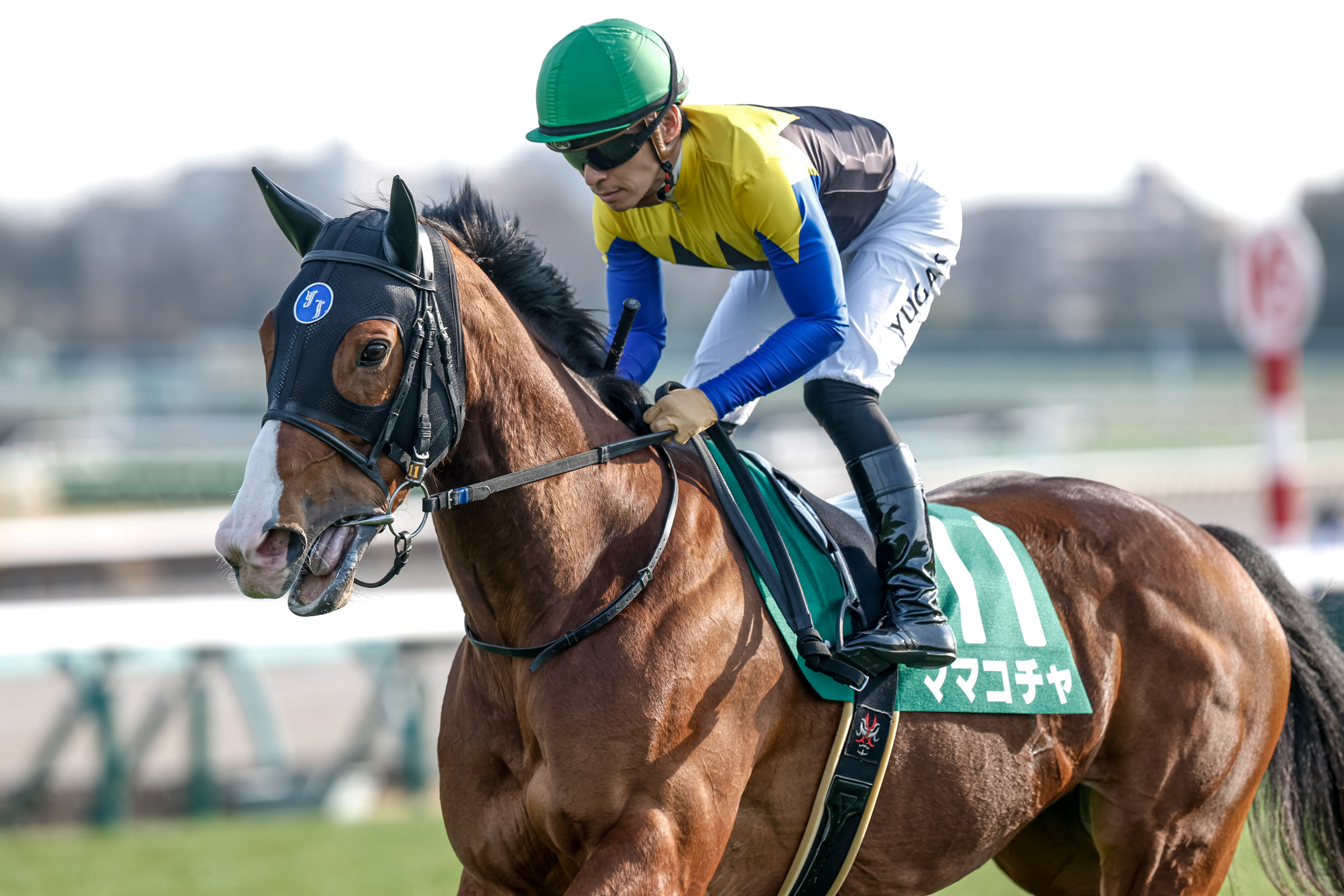まねき馬　まねき馬倶楽部　レインボーカード　ママコチャ　川田将雅 まねき馬 まねき馬倶楽部 競馬 ゆたか カード レインボーカード