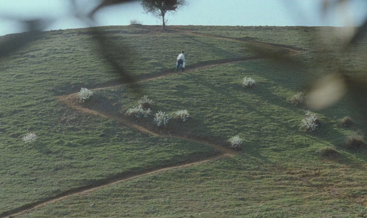 aboutmov1e's tweet photo. Through the Olive Trees (1994)

dir. by Abbas Kiarostami https://t.co/1S4OS28qjA