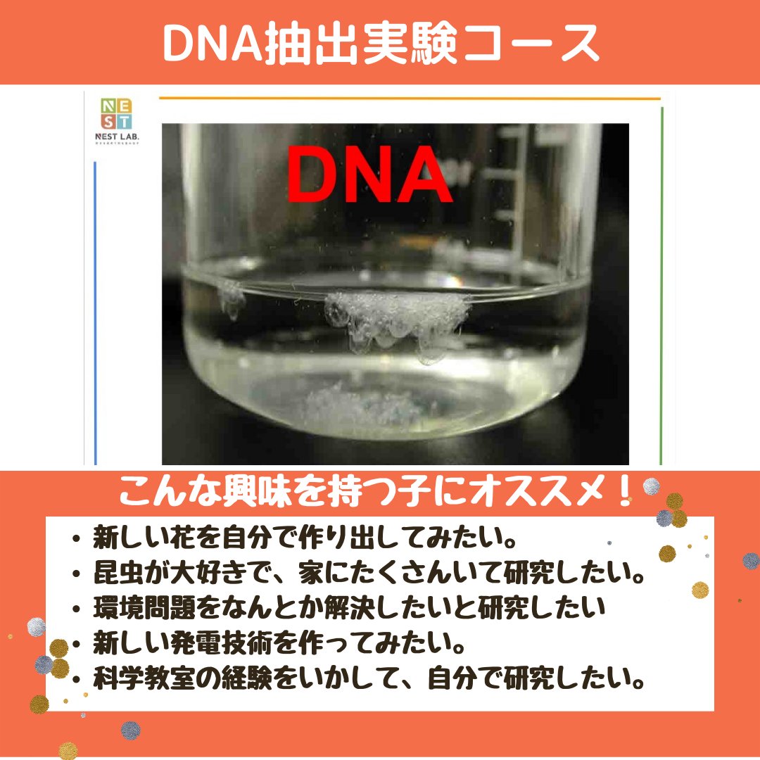 NestlabE's tweet photo. #オトナミューズ に #ネストラボ をご紹介いただきました。オンラインで全国どこからでも参加頂ける #理科実験 のスクール。実験して納得するだけではなく、自分で感じた疑問に自分でアプローチできるよう講師が伴走します。日曜日に #体験教室 実施中！https://t.co/RgxXCpfoHN https://t.co/d4G8nb1qAA
