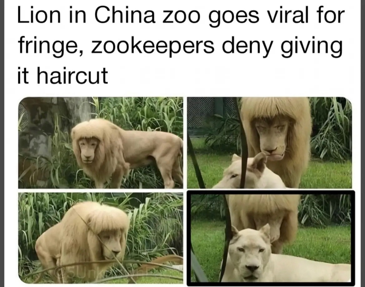 In other “unrelated” news UFC fighter Paddy ‘The Baddy’ Pimblett arrested on historic charges for inappropriately touching animals in Chinese zoo.

Police stated “after years of investigation we’ve finally found the evidence to land a conviction”

#UFC314 <a href="/ufc/">UFC</a>  <a href="/PaddyTheBaddy/">Paddy Pimblett</a>