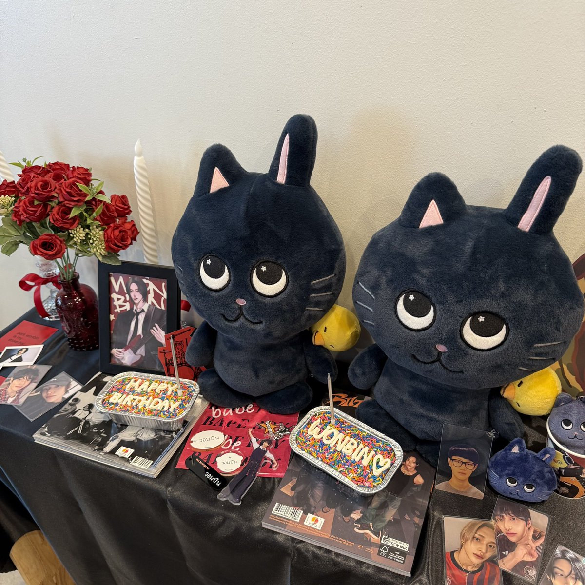 wonbeenamillion's tweet image. my cat is rockstar⭐️❤️‍🩹 #OurBrilliantRockstarWonbin