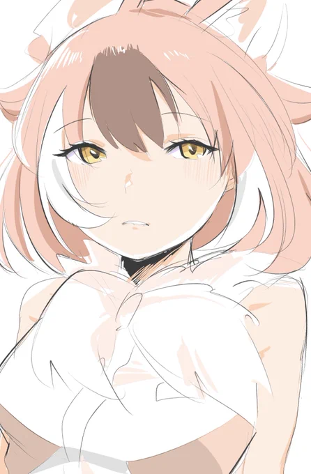 どる 