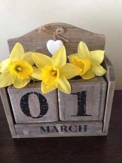 Dydd Gŵyl Dewi Hapus.  Happy St David’s Day.