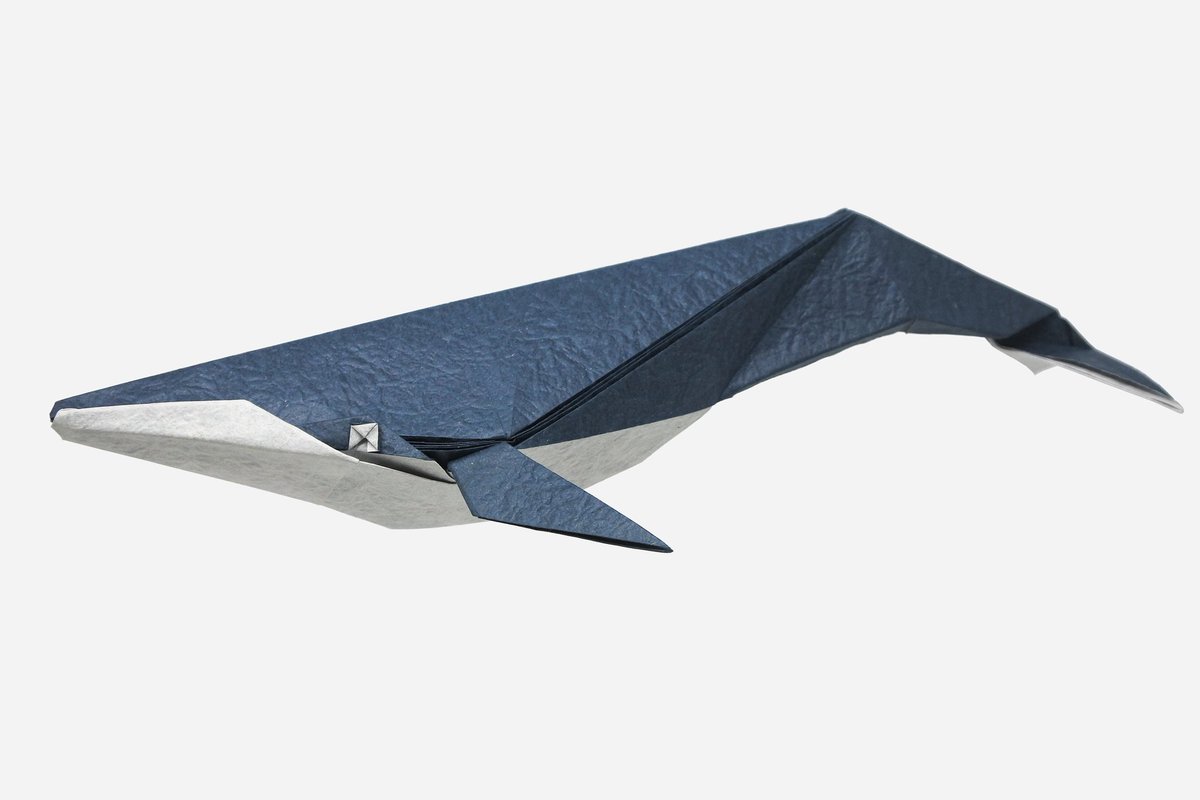 Blue Whale
Designed by me