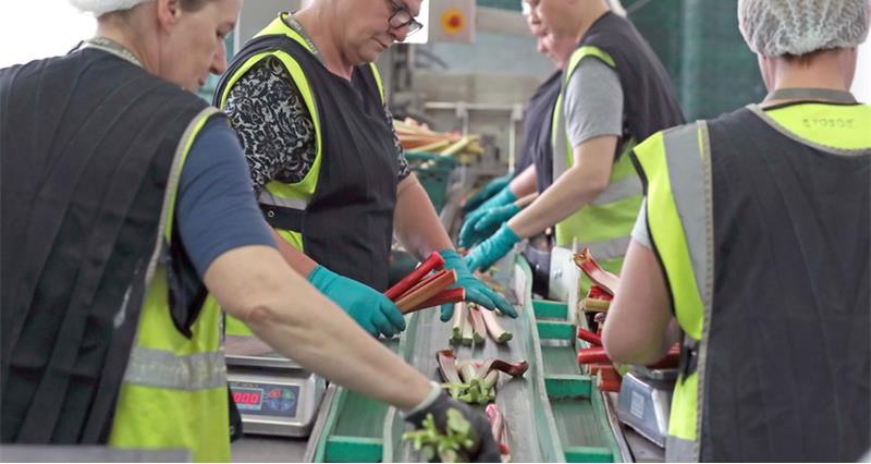 NFU members | Booking is now open for growers to attend the Seasonal Worker Taskforce 2025 Grower Roadshow. The events, sponsored by the Taskforce, will provide insights into ethical recruitment practices, legal requirements and worker welfare.

Read more👉ow.ly/ru9c50V890H