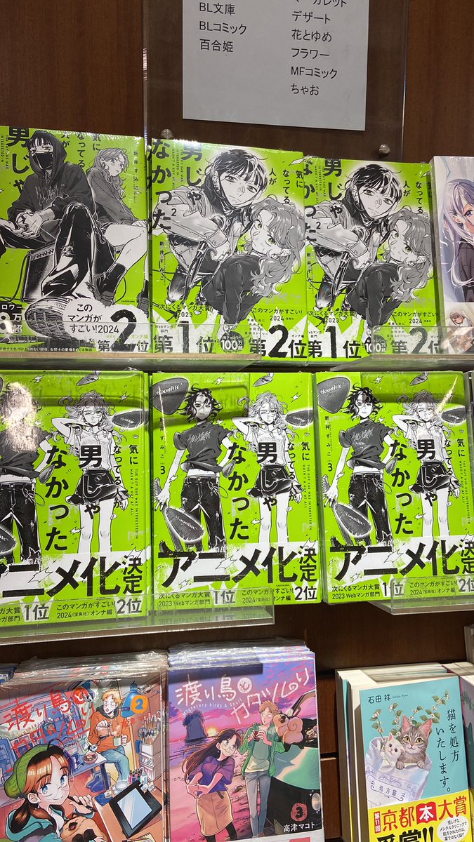mophphy's tweet photo. No Japão já tem volume 1, 2 e 3 publicados. Cadê no Brasil que não chega? https://t.co/HmP1xwehw0