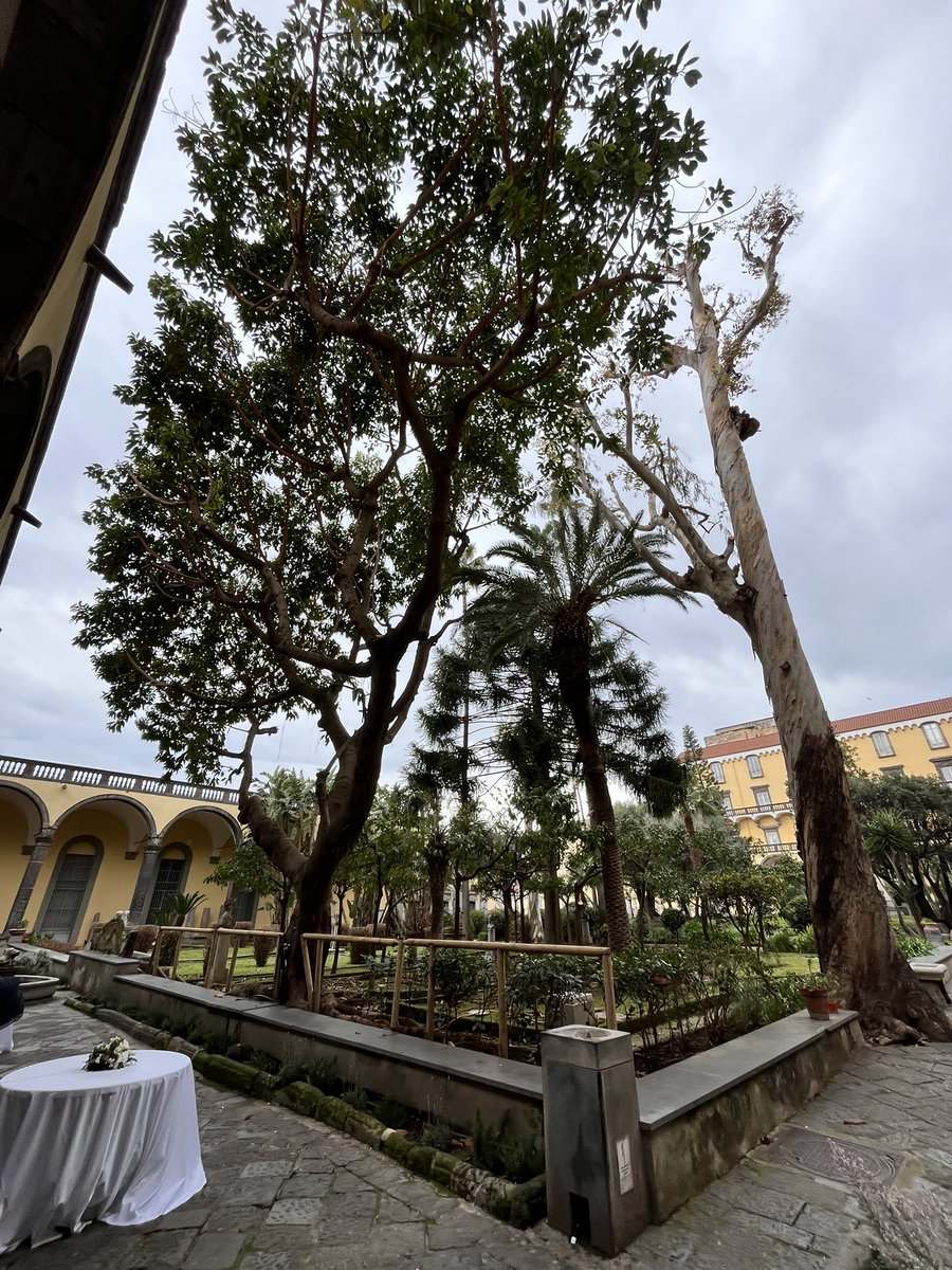 Andrew Breeze (@acgb100) on Twitter photo In Napoli for <a href="/TruffleStudy/">TRUFFLE 2 Study</a> meeting - nice place to meet up with the TRUFFLE family again #fetalgrowth #fetaldoppler #doppler #growthrestriction #fetalgrowthrestriction #FGR #IUGR <a href="/WHRCImp/">WHRC Imperial College, London</a> <a href="/LthtWomens/">LTHT_Womens&Maternity Research</a> In Napoli for <a href="/TruffleStudy/">TRUFFLE 2 Study</a> meeting - nice place to meet up with the TRUFFLE family again #fetalgrowth #fetaldoppler #doppler #growthrestriction #fetalgrowthrestriction #FGR #IUGR <a href="/WHRCImp/">WHRC Imperial College, London</a> <a href="/LthtWomens/">LTHT_Womens&Maternity Research</a>