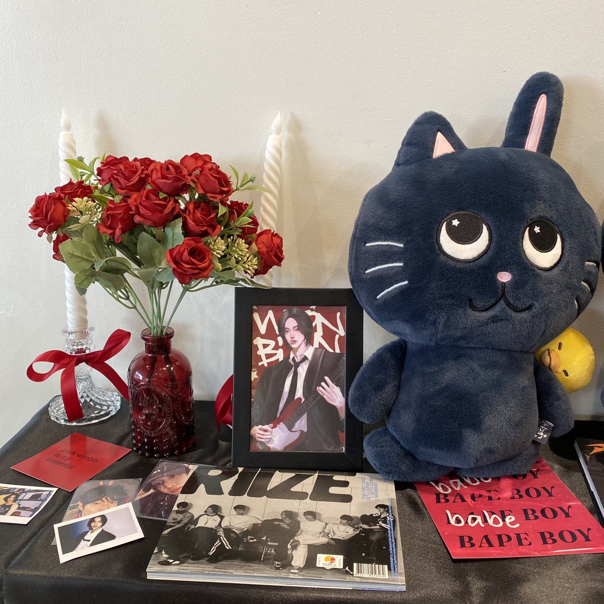 dedaphne119's tweet image. 🎸⭐️ #ourbrilliantrockstarwonbin