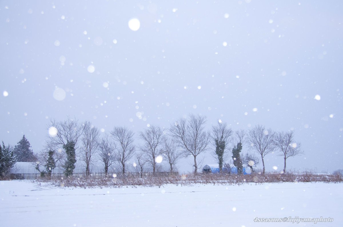能登の雪景色がメルヘンの世界でした❄️

#能登半島　#石川県