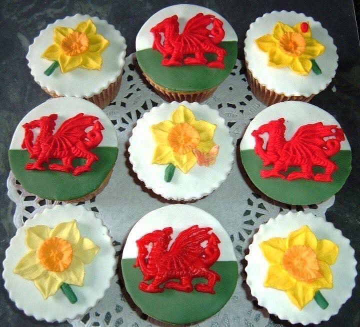 LouAspinall's tweet image. Happy St. David’s Day 🏴󠁧󠁢󠁷󠁬󠁳󠁿